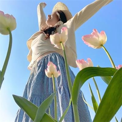 逐浪之夏 封面