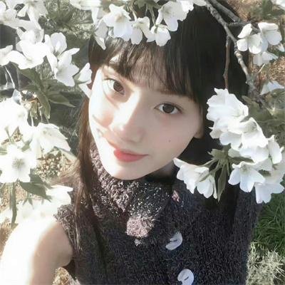 春光满古城 封面